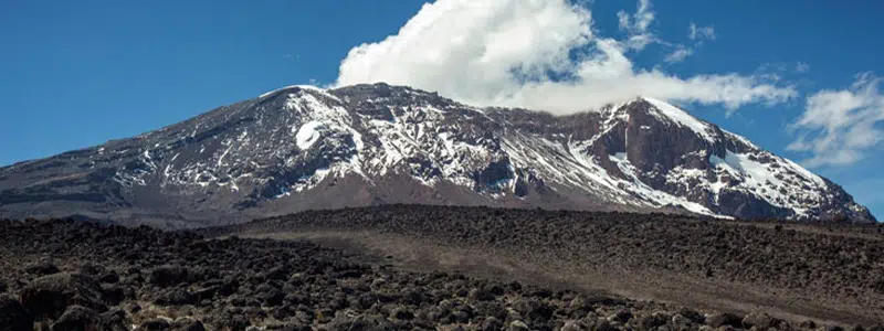 kilimanjaro 7 days climbing trekking lemosho route