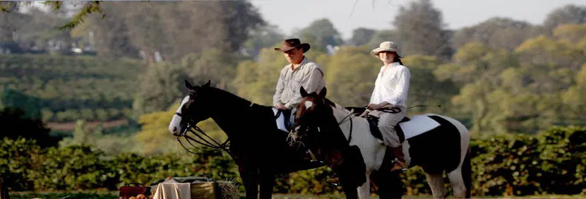 Arusha National Park horse riding