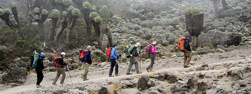 kilimanjaro 6 days climbing trekking Marangu route