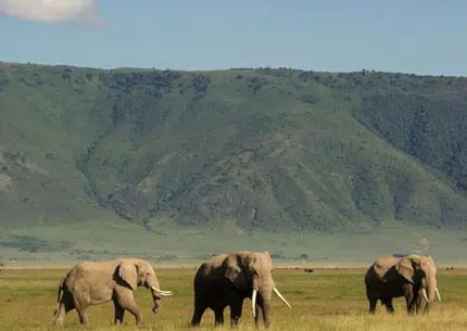 ngorongoro daytrip Tanzania safari tour